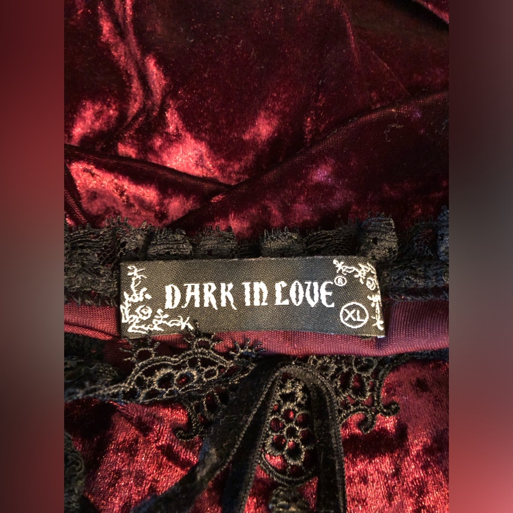 DARK IN LOVE Nightingale's Rose goth whimsigoth burgundy wine velvet dress - Picture 8 of 10
